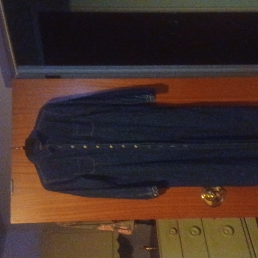 Universal long sleeve Jean dress